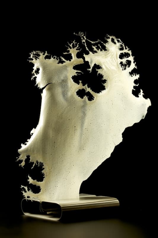 component image