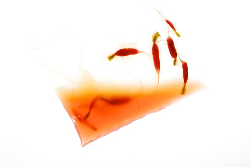 component image