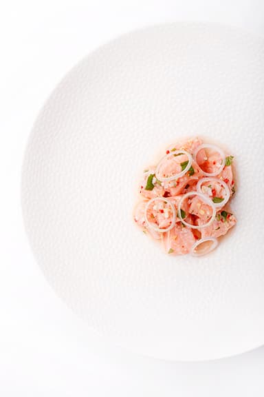 Ceviche Van Zalm | Gastronomixs