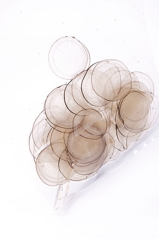 component image